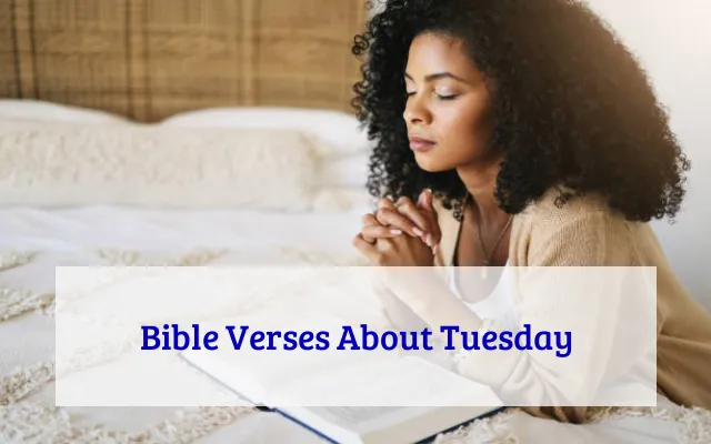 Bible Verses About Tuesday