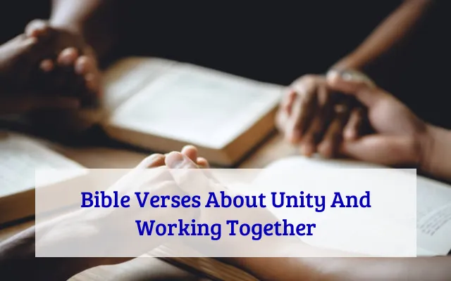 Bible Verses About Unity And Working Together