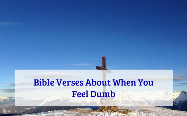 Bible Verses About When You Feel Dumb