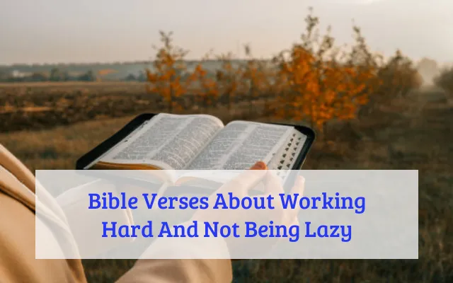 Bible Verses About Working Hard And Not Being Lazy