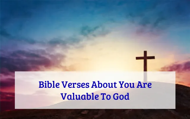 Bible Verses About You Are Valuable To God